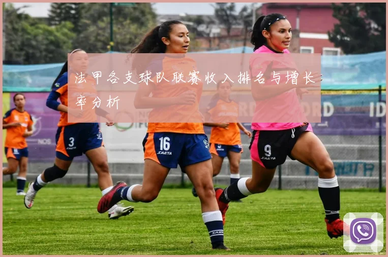 法甲各支球队联赛收入排名与增长率分析
