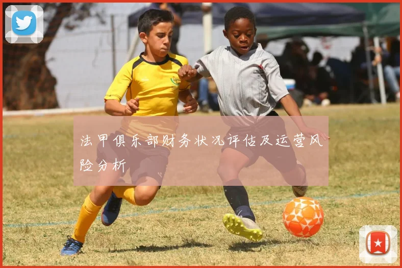 法甲俱乐部财务状况评估及运营风险分析