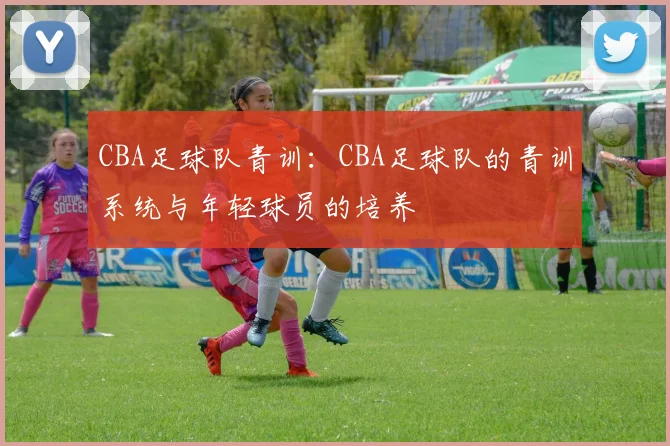 CBA足球队青训：CBA足球队的青训系统与年轻球员的培养