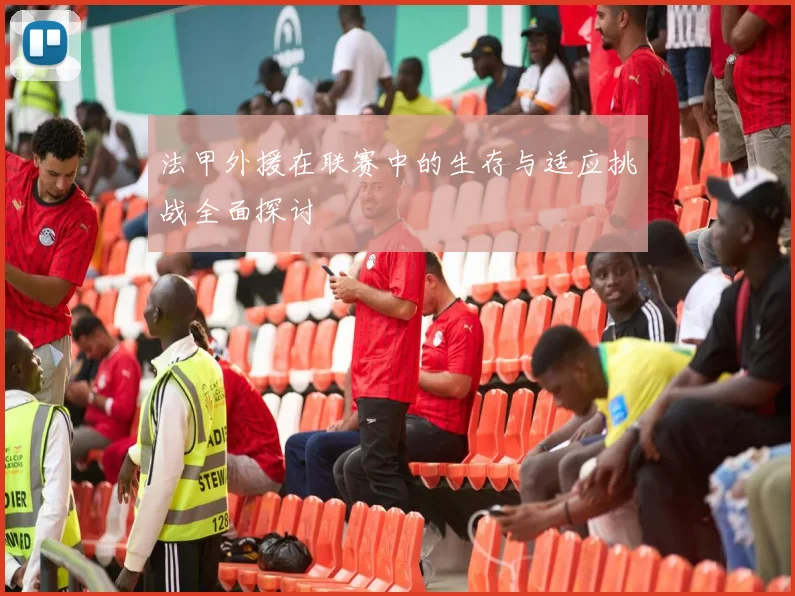 法甲外援在联赛中的生存与适应挑战全面探讨