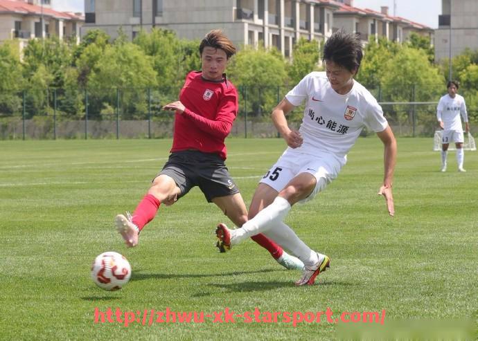 星空体育-德甲球队身价最高的球队：德甲赛季中最具市场价值的球队